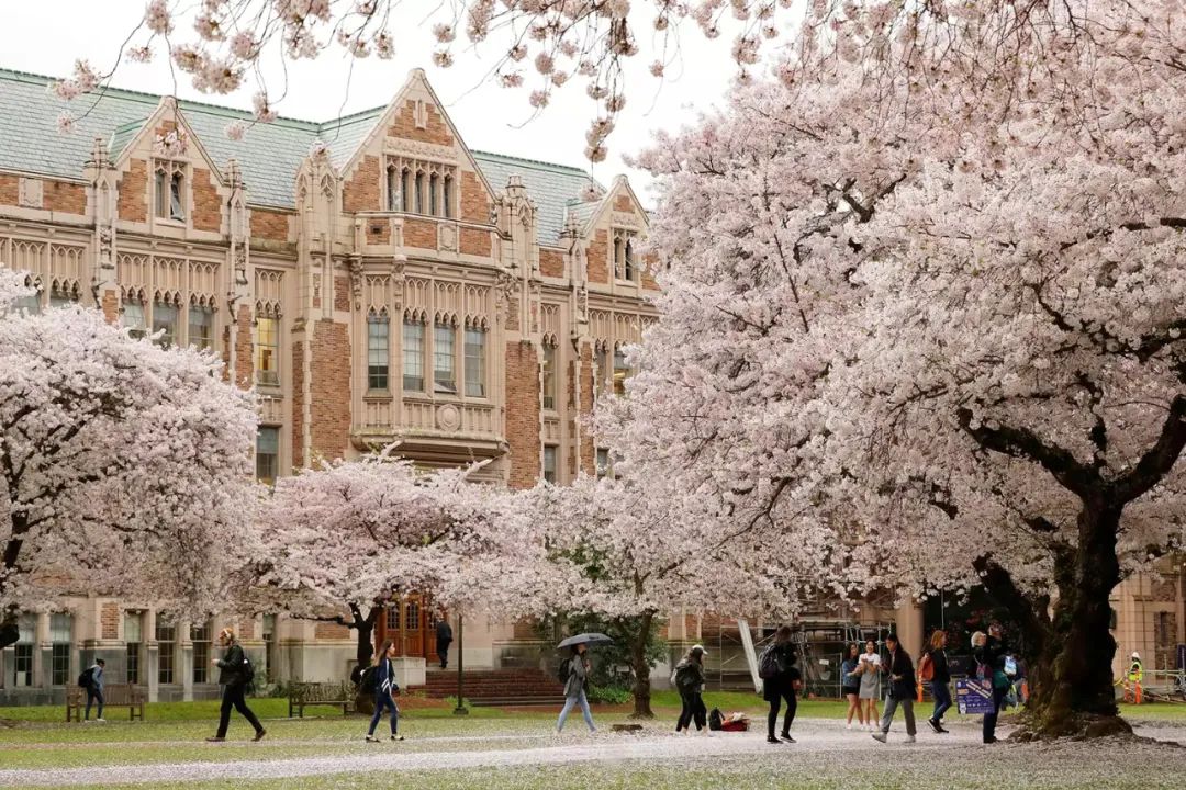 留学生申请“Undecided”，这6所美国大学别错过！