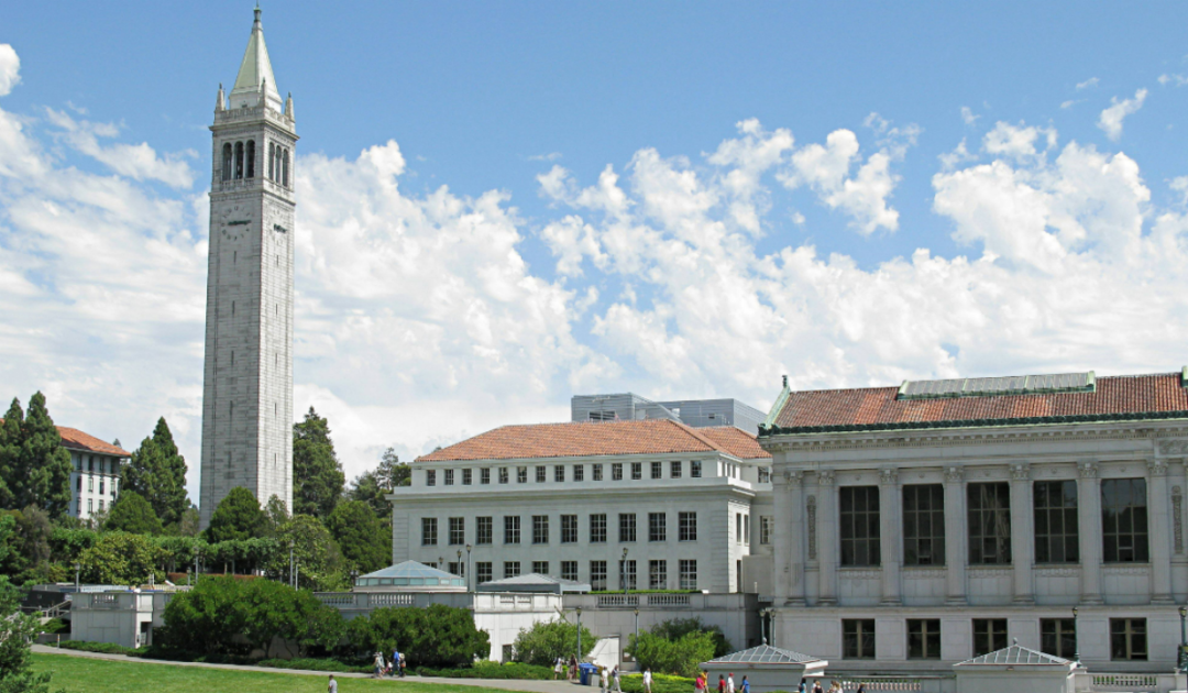 加州大学伯克利（UC Berkeley）每年会招多少本科生？