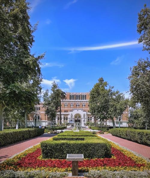 ������ѧ��ýרҵ�Ƽ�