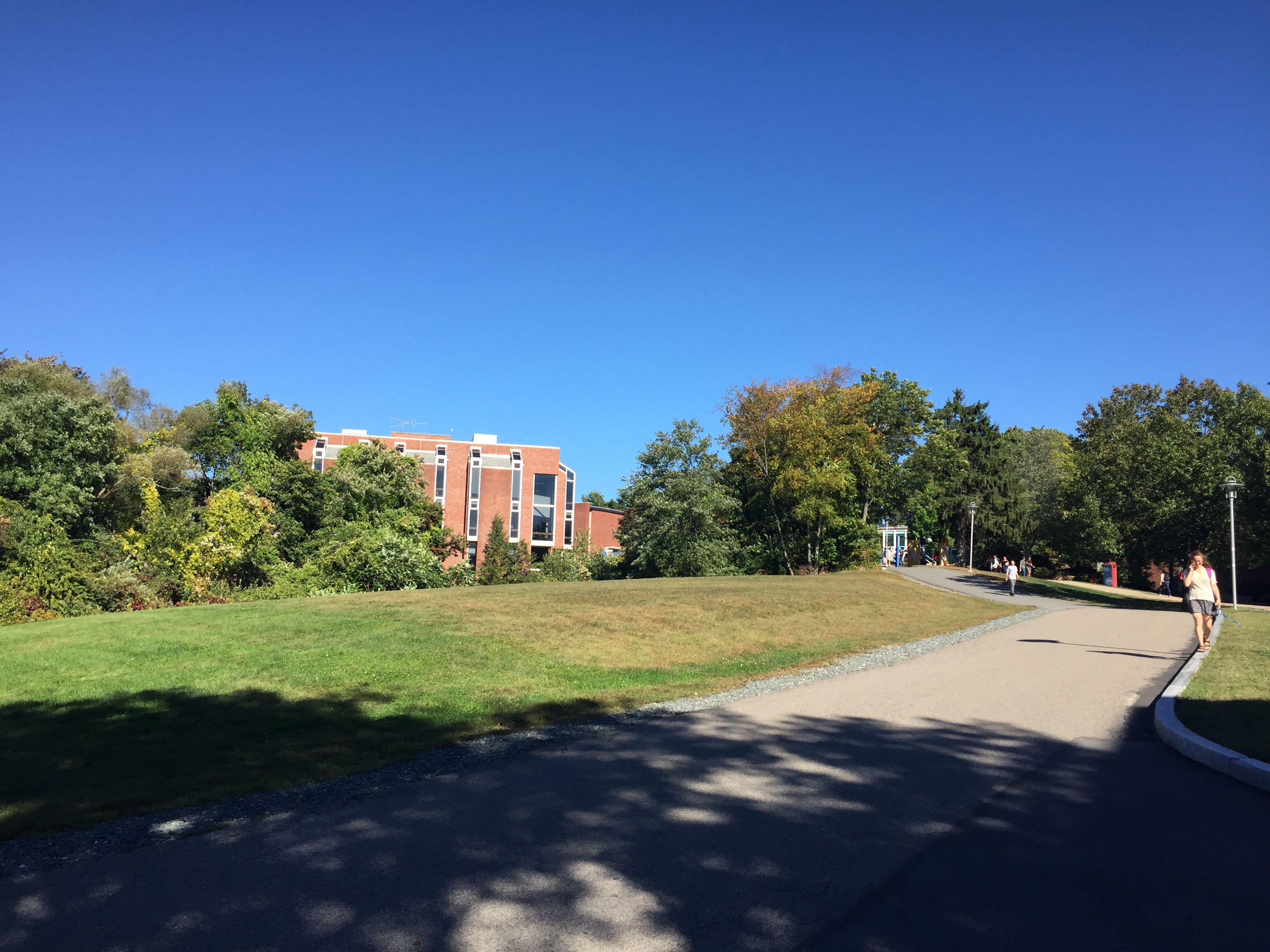 布兰迪斯大学硕士申请要求详解