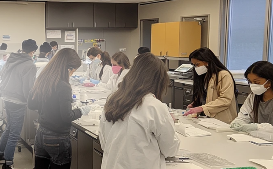 美国夏校 | 芝加哥大学生物科学研究夏校RIBS申请开放 美国夏校 | 芝加哥大学生物科学研究夏校RIBS申请开放