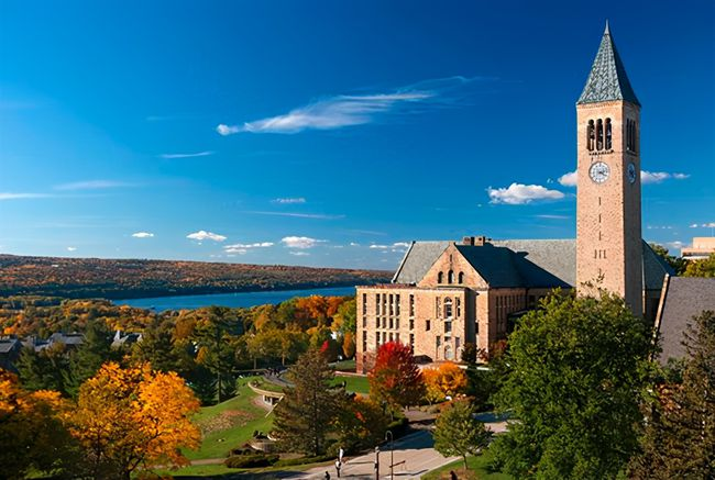 美国本科康奈尔大学2029 Fall申请要求详解