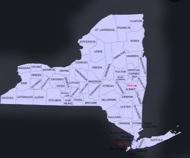 美国纽约州都有哪些有名大学？