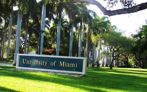 迈阿密大学排名多少位 世界第几名（2023最新）