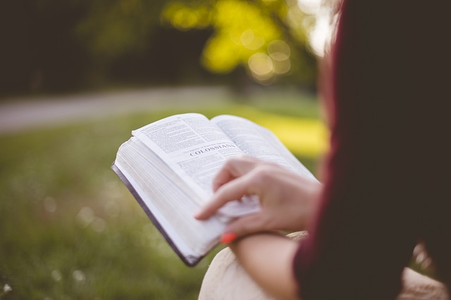 耶鲁大学计算机科学硕士申请全解析：学术、科研与职业规划的“藤校突围战”