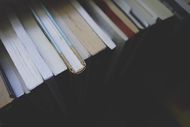 康奈尔大学研究生计算机科学专业申请条件