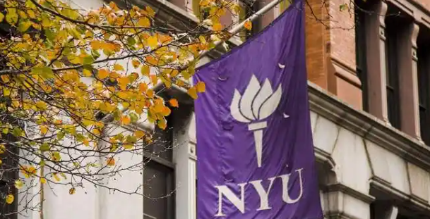 纽约大学.png 纽约大学.png