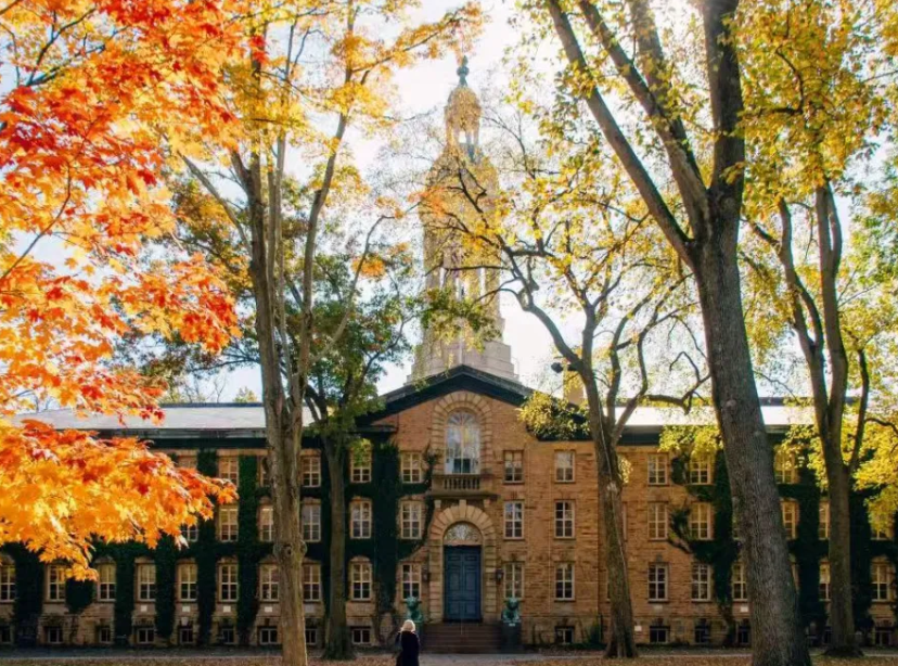 普林斯顿大学是一所怎样的大学？