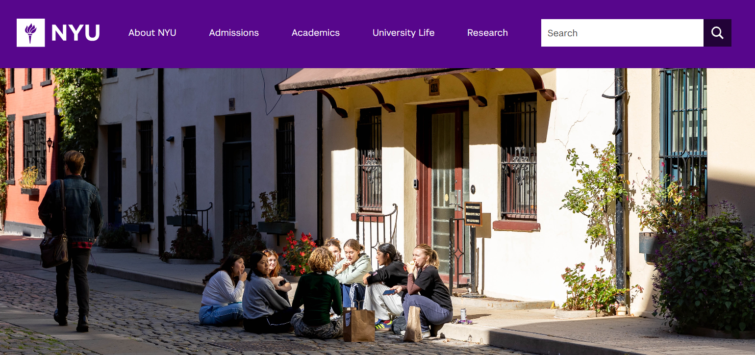 纽约大学国内认可度高吗