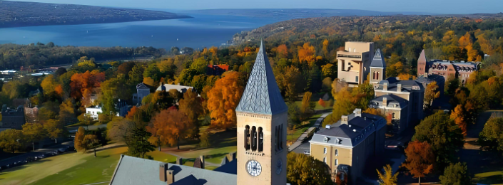 美国博士3年能读完吗？一文详解！