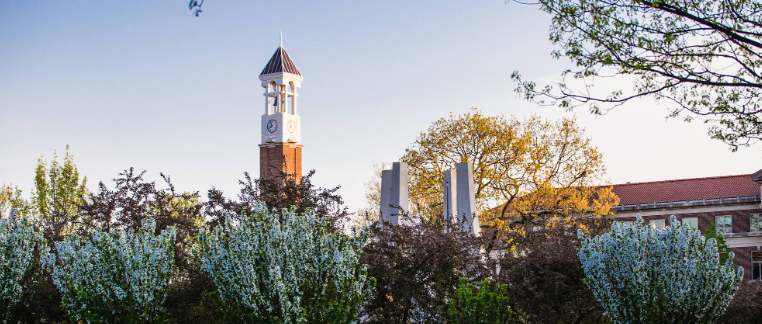 美国研究生热门专业排行榜：从就业前景到申请策略的全维度解析